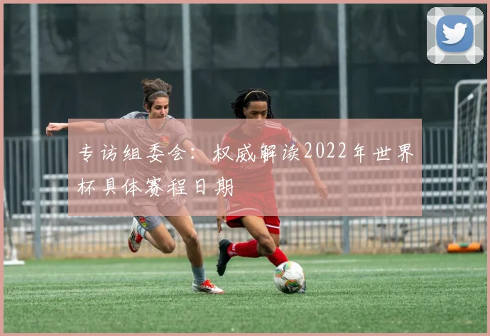 专访组委会：权威解读2022年世界杯具体赛程日期