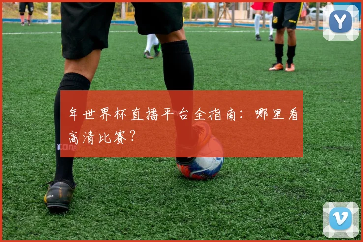 年世界杯直播平台全指南：哪里看高清比赛？