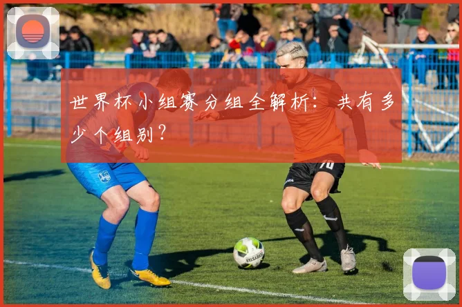 世界杯小组赛分组全解析：共有多少个组别？